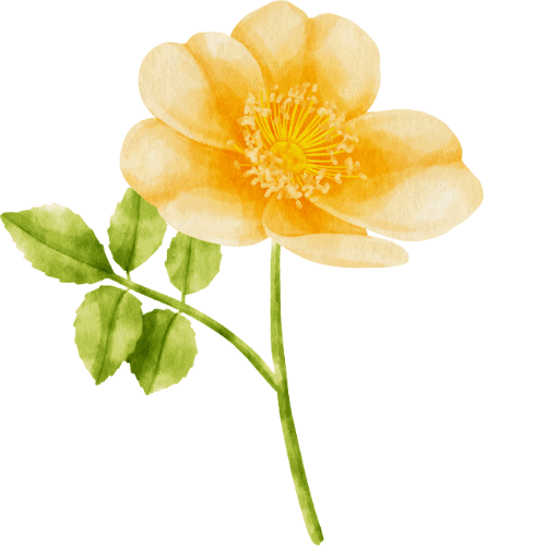 Fargerik blomsterillustrasjon for storytelling og kreativitet.