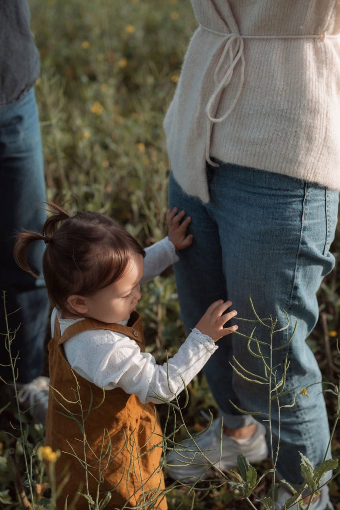 Nydelige sesongblomster i vårlandskapet, perfekt for å feire sesongens blomster og naturens skjønnhe.