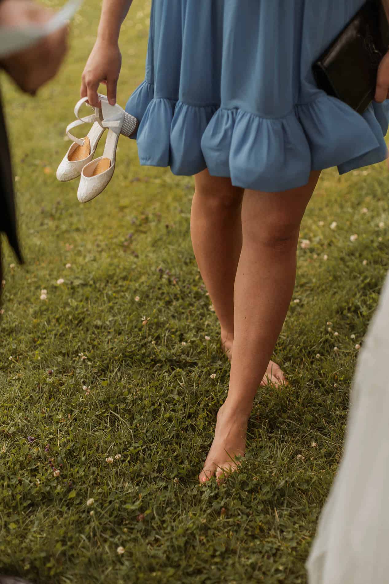 Detaljert bilde av fargerike ville blomster og blader.