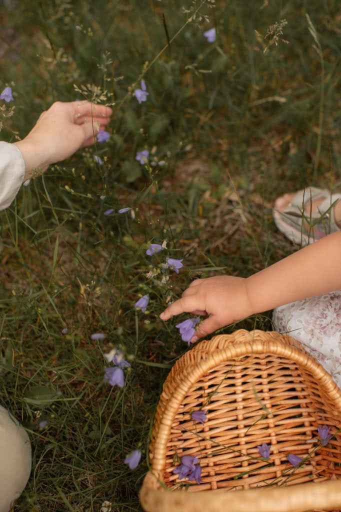 Barn plukker blå blomster i naturen med en kurv ved siden av.