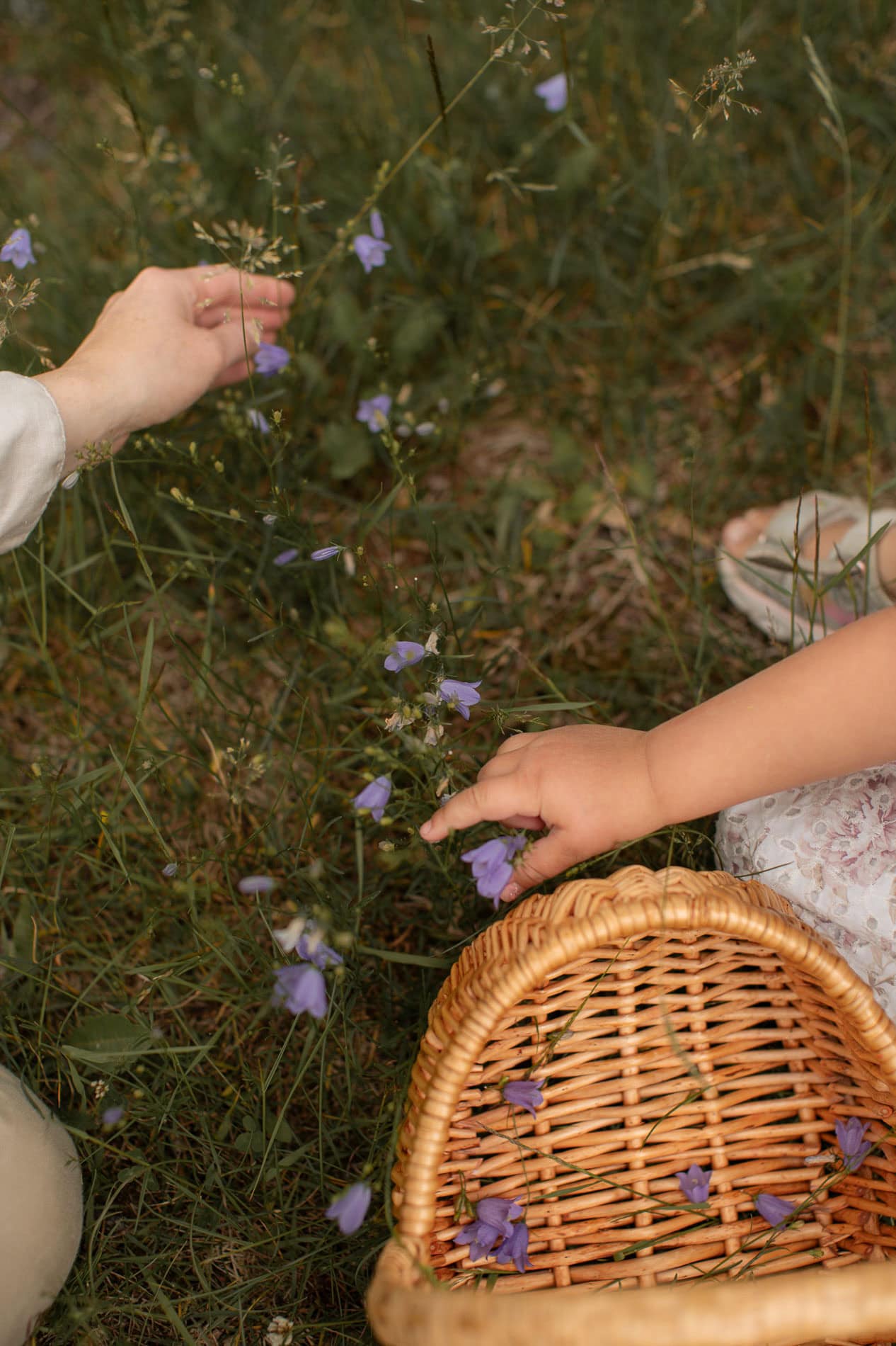 Barn plukker blå blomster i naturen med en kurv ved siden av.