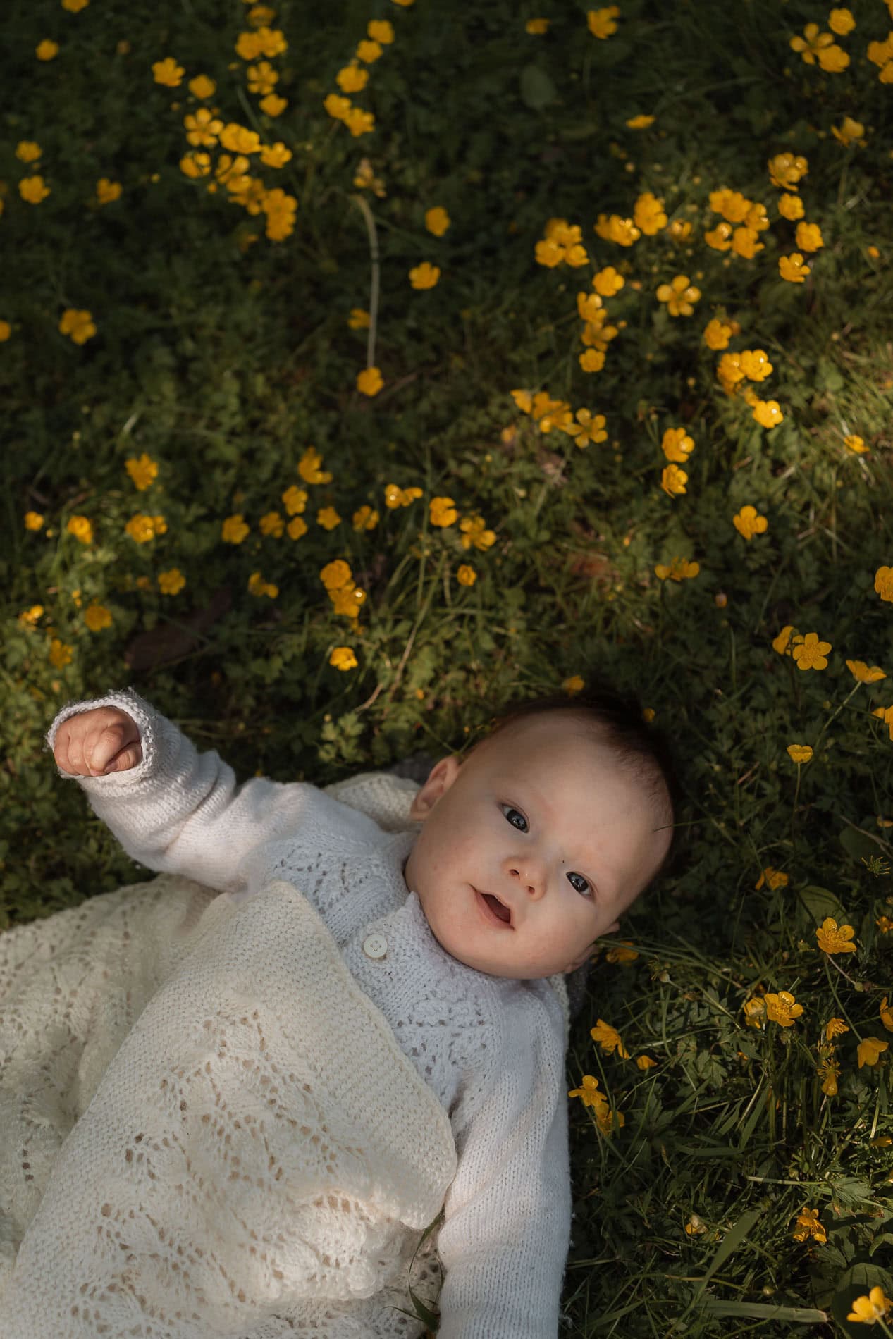 Fargerik blomsterillustrasjon med ulike blomster og grønne blader.