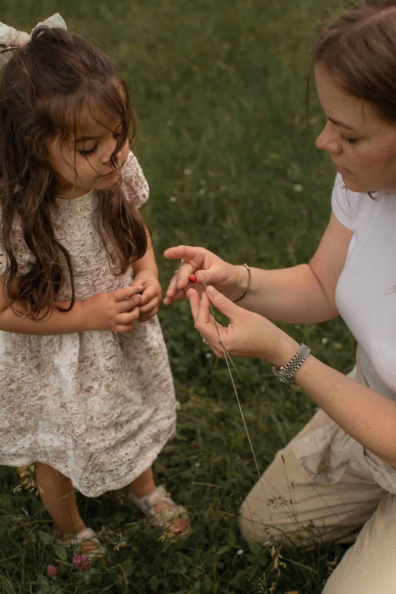 Nydelige vannfargede blomsterillustrasjoner for vår- og sommerdekorasjoner.