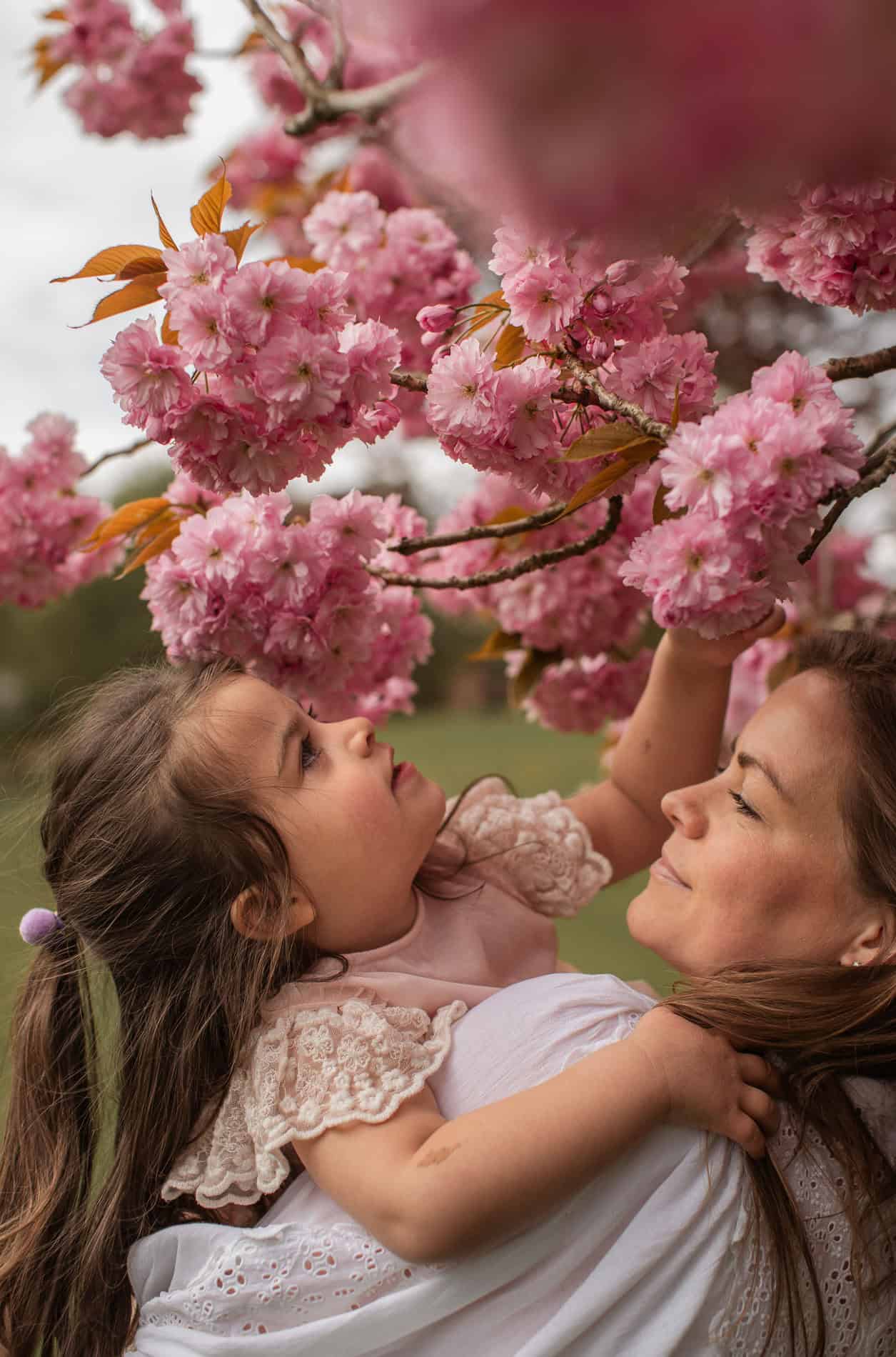 Mor og datter nyter blomstrende kirsebærtre i vårsolen.