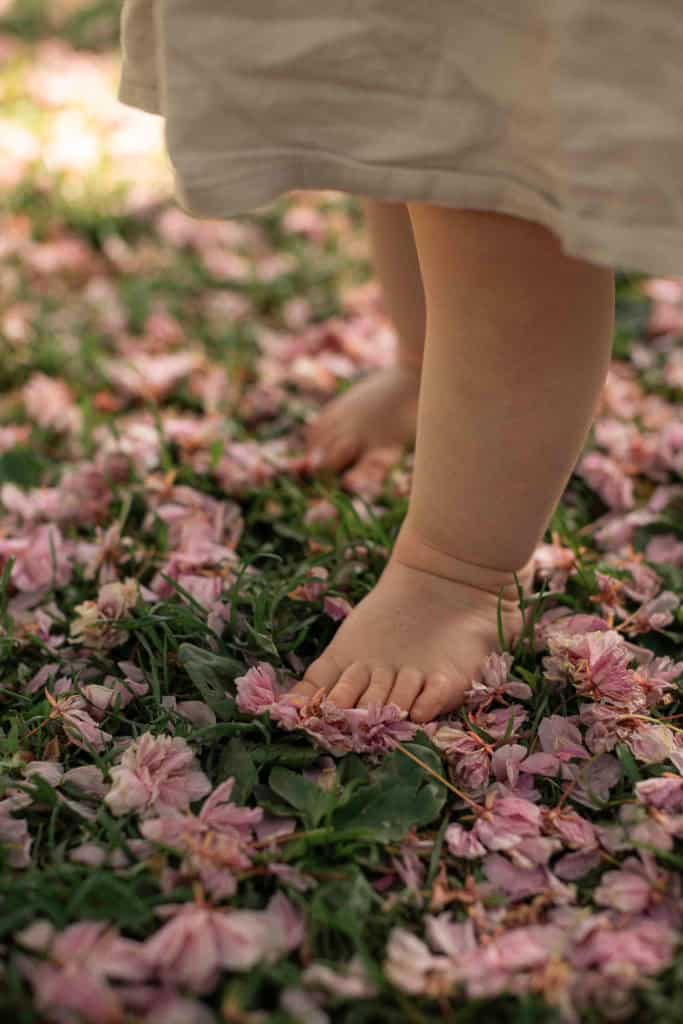 Barneføtter som går på rosa blomsterblader i hagen.