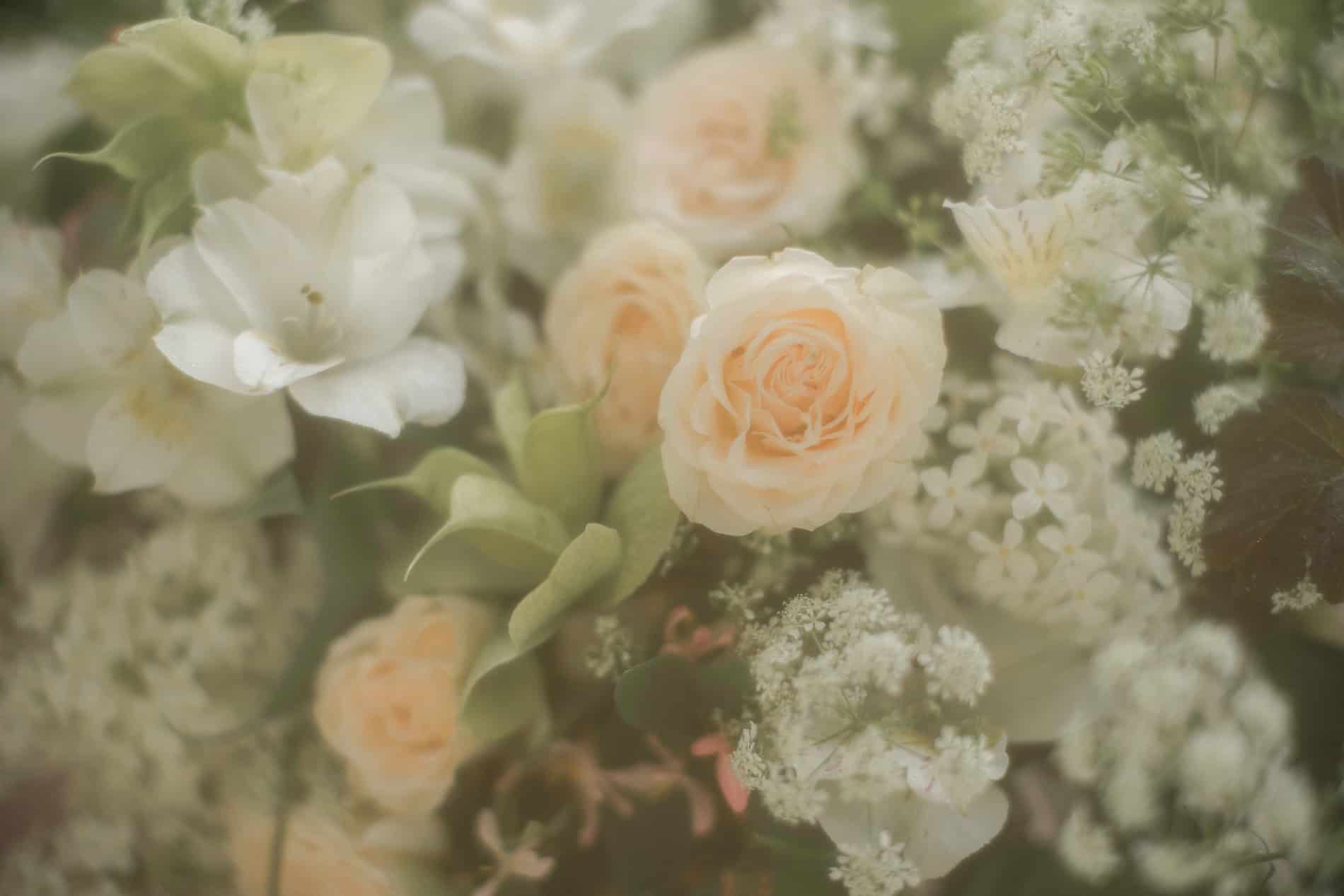 Fargerik blomsterillustrasjon med ulike blomster for kreative prosjekter.