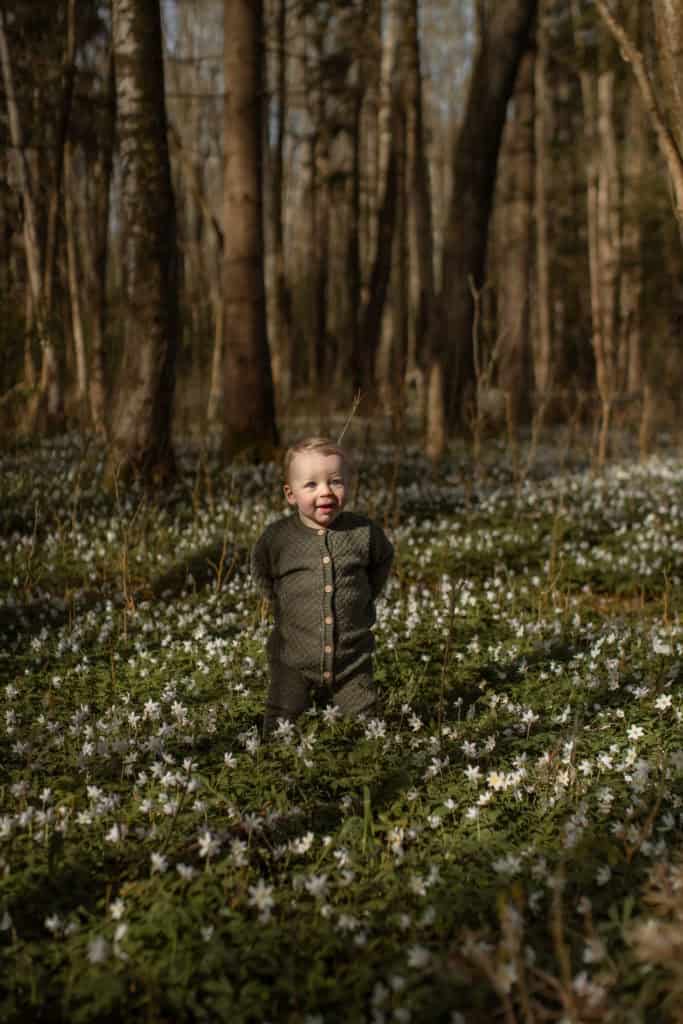 Barn blant sesongens blomster i skogen.
