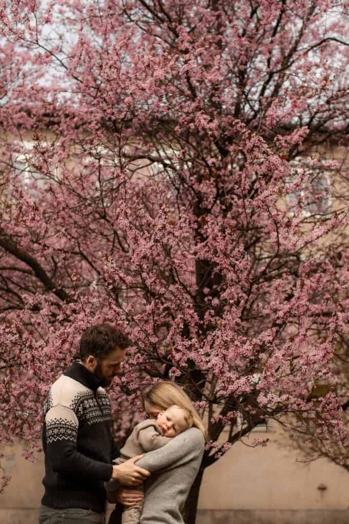 Vakker vårblomstrende tre med foreldre som klemmer barnet under blomstrende grener.